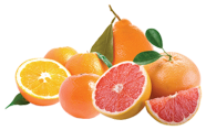 FruitSale Grapefruit-Oranges3